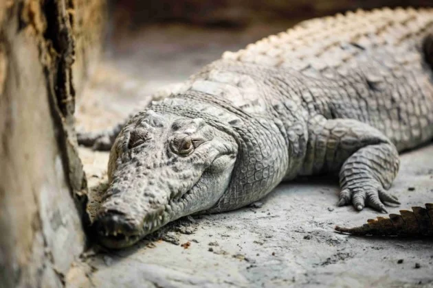 Cave Visit in Africano Park